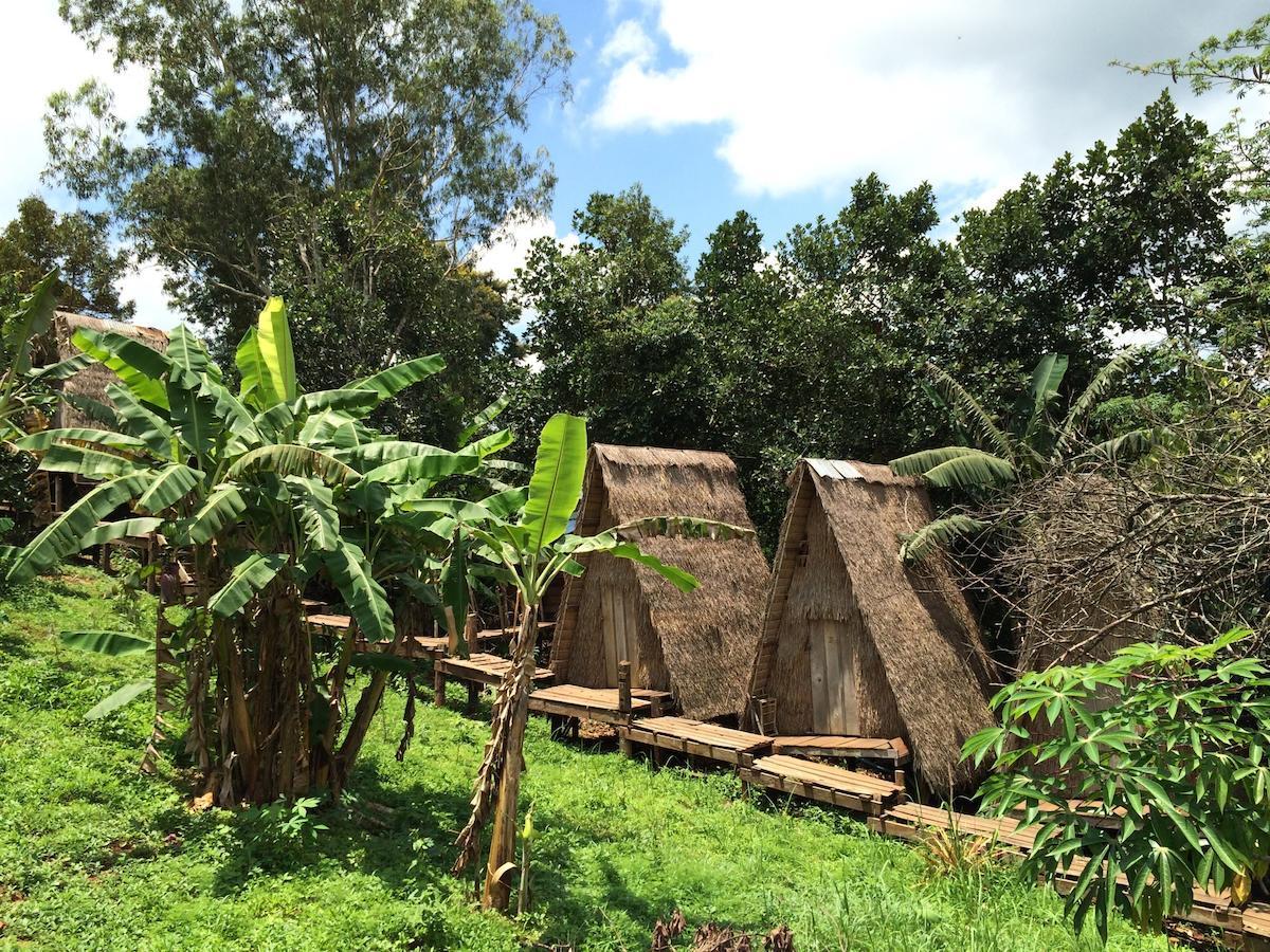 Tree Lodge Sen Monourom Rum bild