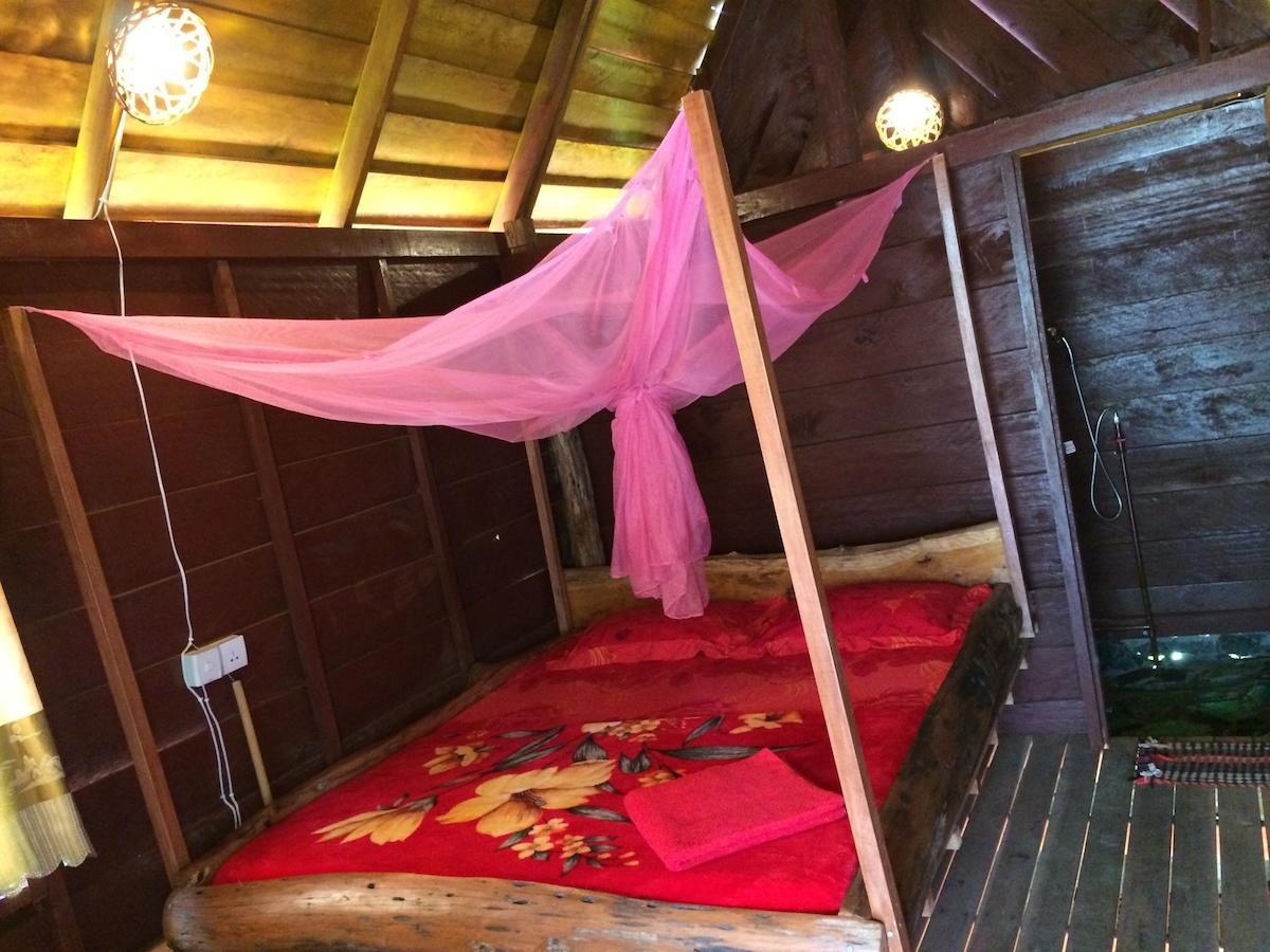 Tree Lodge Sen Monourom Rum bild