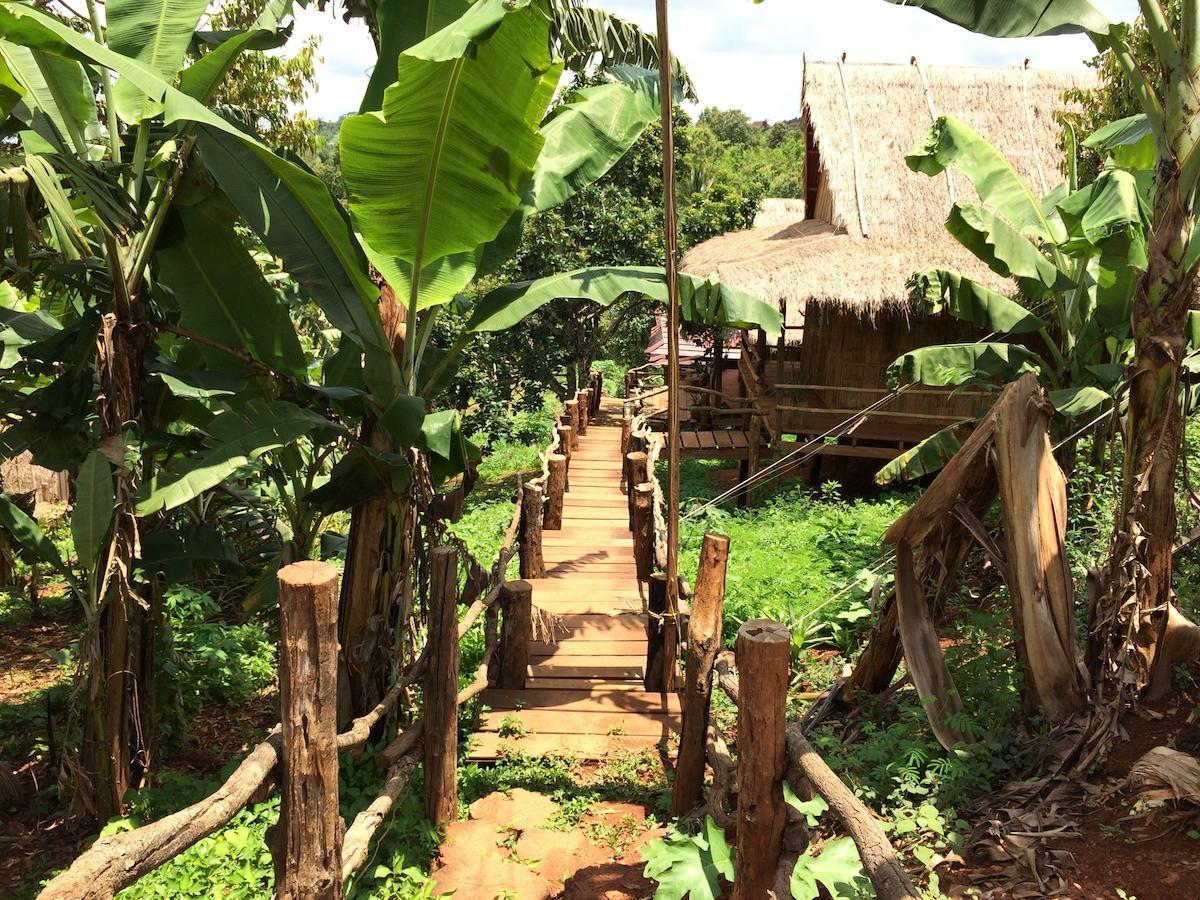 Tree Lodge Sen Monourom Rum bild